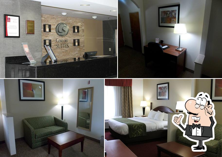 Comfort Suites Inn At Ridgewood Farm