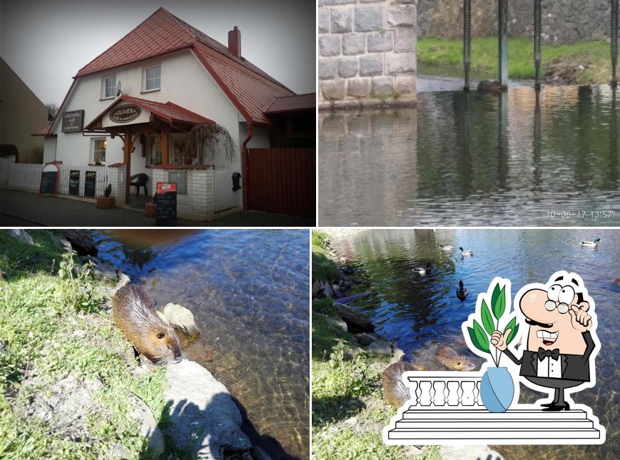 Oliver Café za řekou