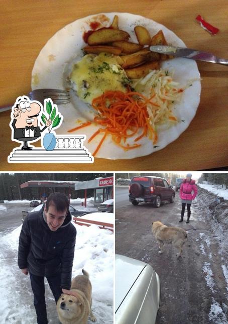 Кафе Брусника