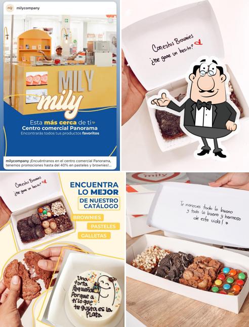 Mily Company - Sede Sur