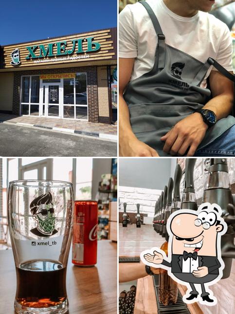 Хмель