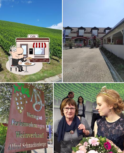Winery Alfred Schmachtenberger