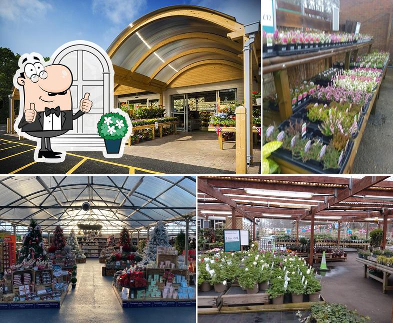 Squire's Garden Centre
