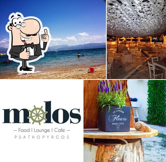 Molos Lounge Food Cafe