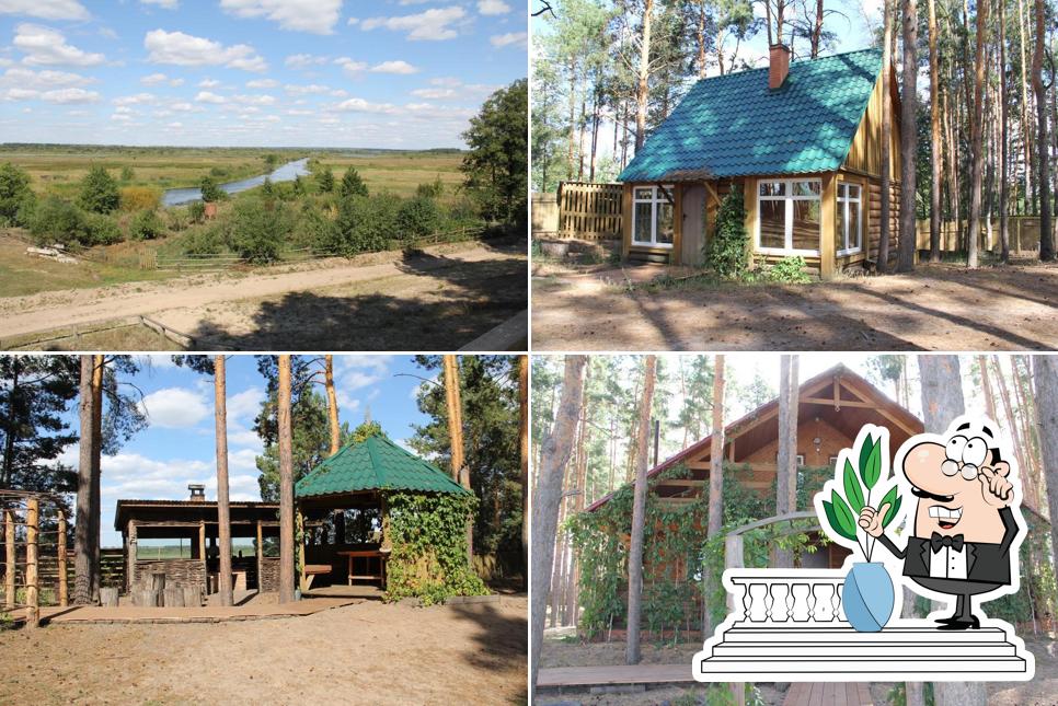 Разгуляй База отдыха Tambov