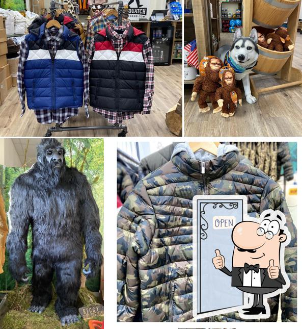 Sasquatch The Legend