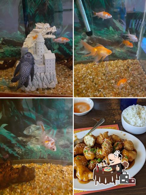Hope's Chinese Restaurant