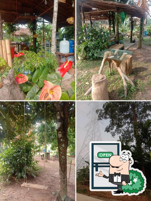 ร้านต้นน้ำตามฝัน