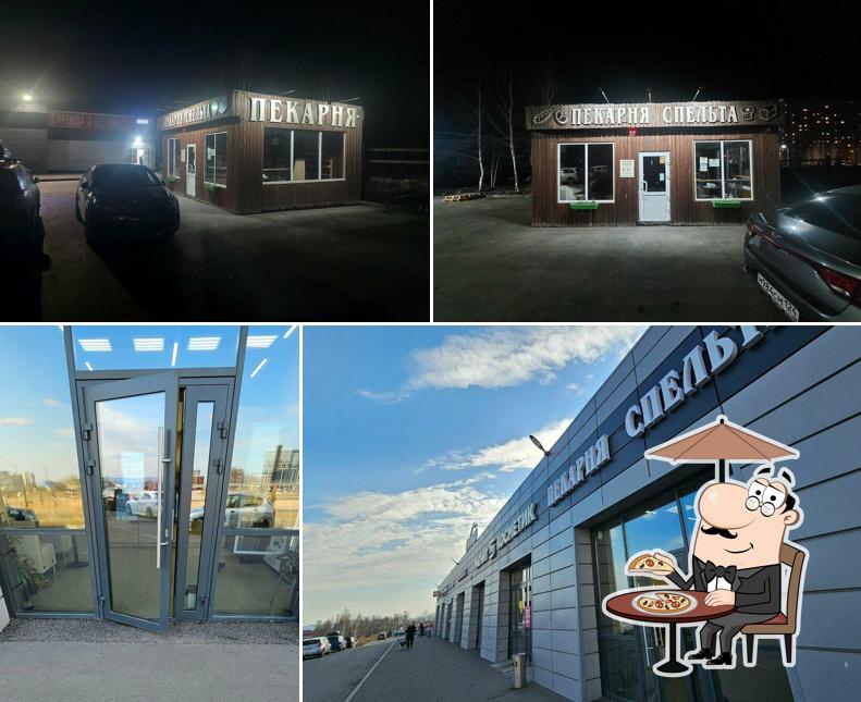Спельта