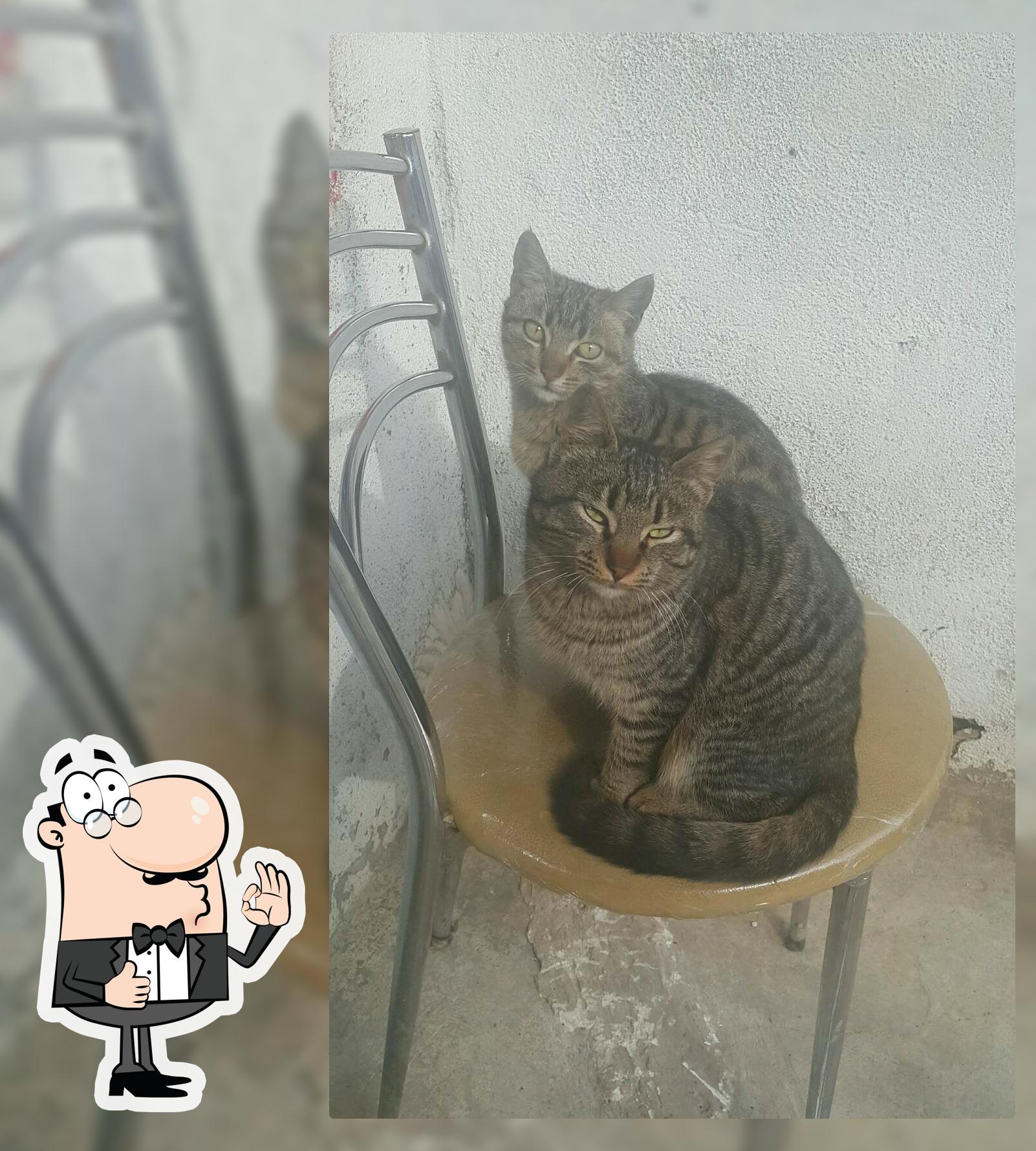 Lezzet Durağı