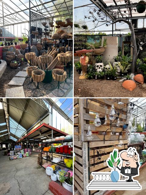 Bonnyrigg Garden Centre