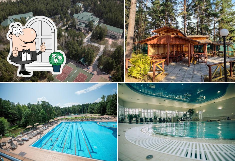 Борвиха Hotel&SPA