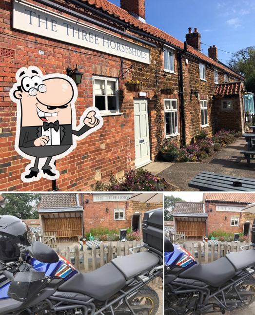 Three Horseshoes Pub Roydon