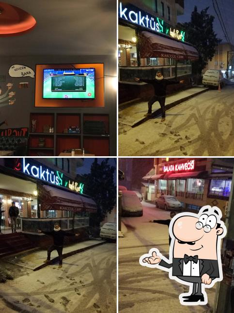 kaktüs kafe