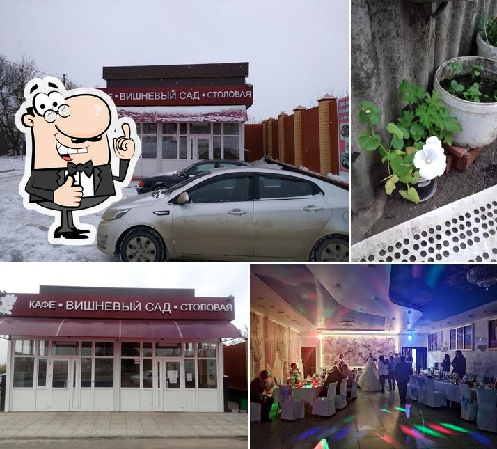 Вишневый сад