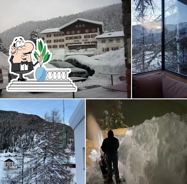 Hotel Nives