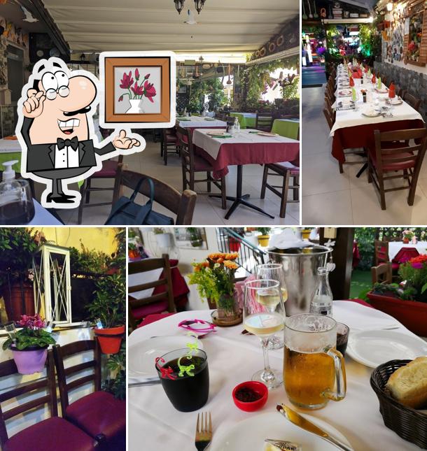 Taverna Yiannis!!! Greek traditional food, fresh fish, fresh meat and pasta!!!