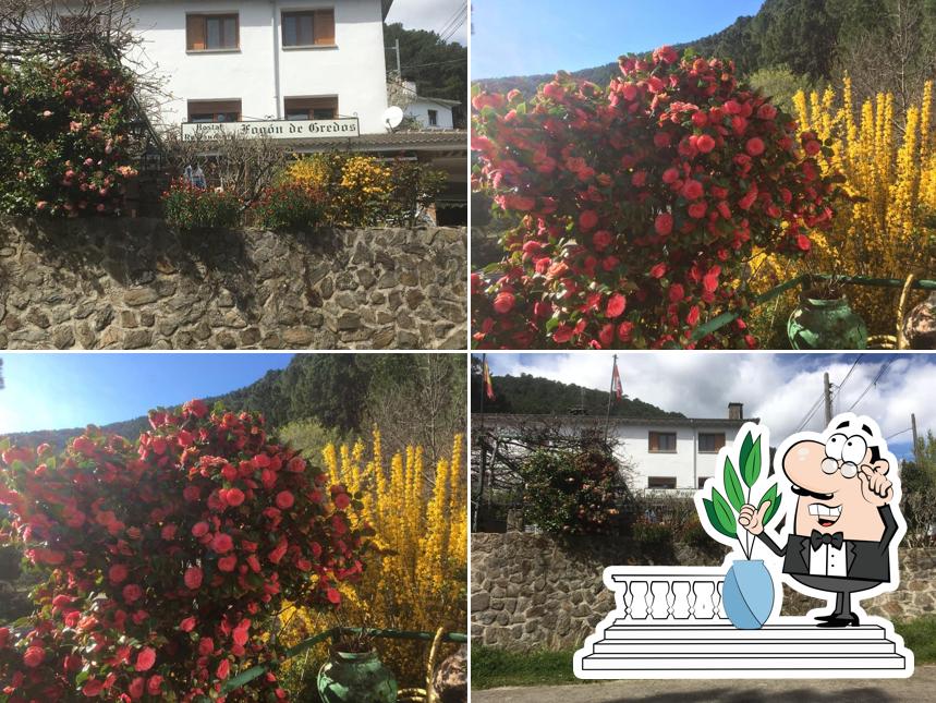 Hostal El Fogon de Gredos Guisando
