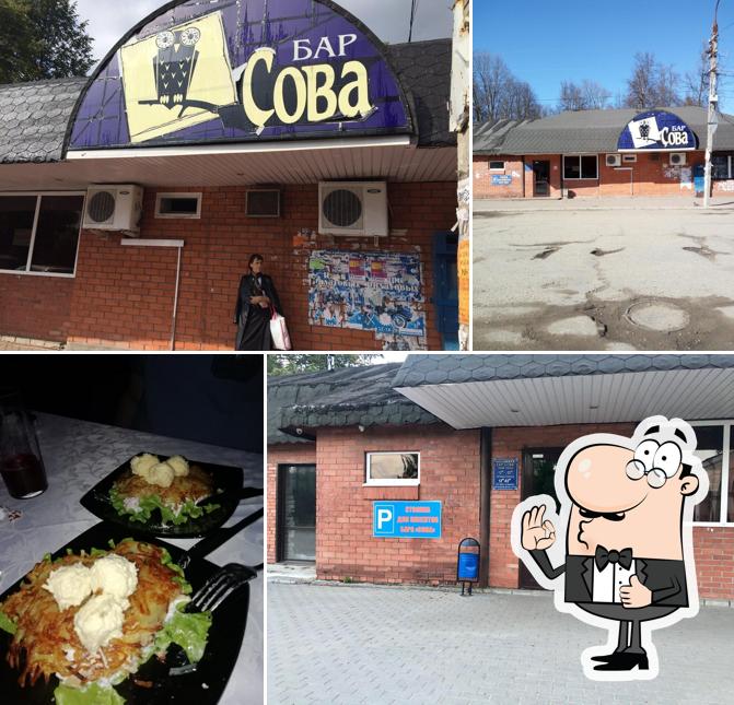 Сова