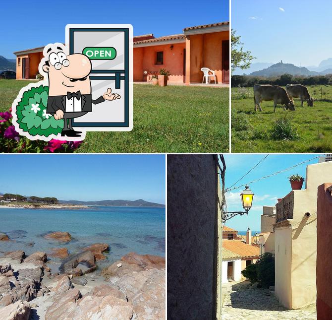 agriturismo orvile