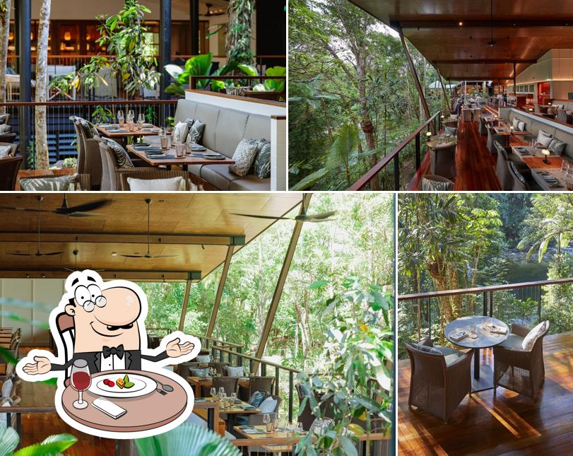 Treehouse Restaurant