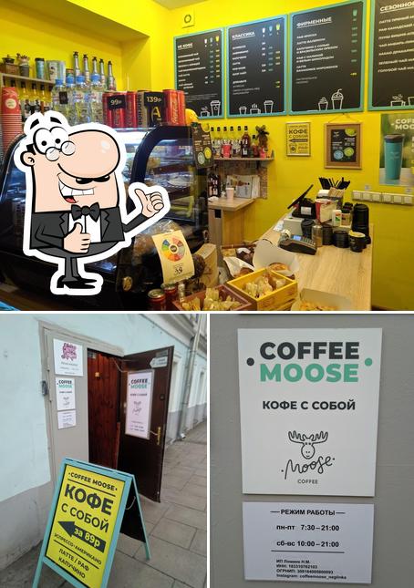 Coffee Moose