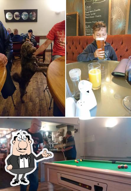 The Salutation Inn