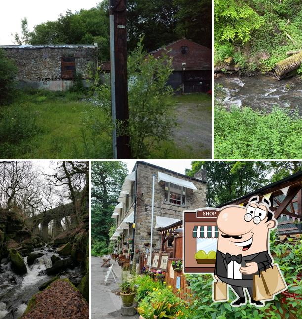 Healey Dell Heritage Centre & Tea Rooms