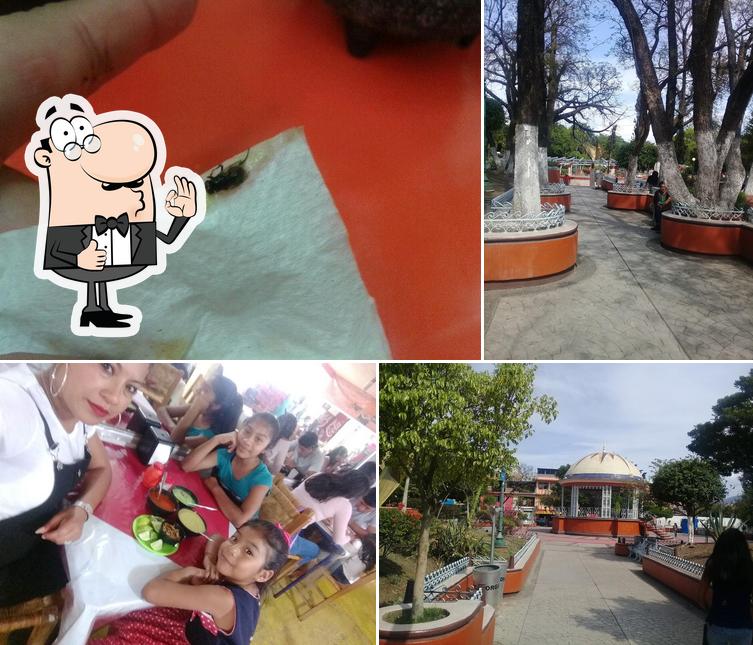 Tacos El Fogoncito