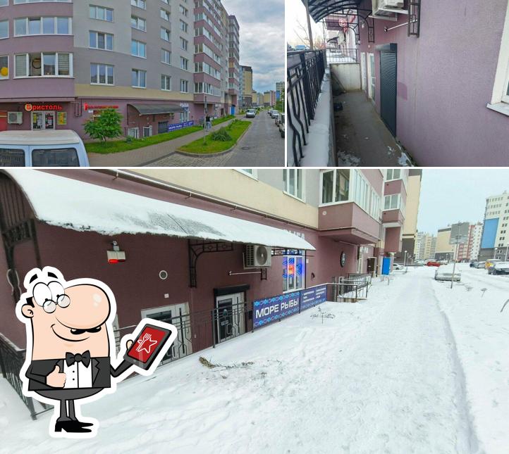 Море рыбы