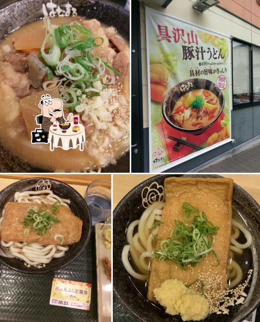 Hanamaru Udon