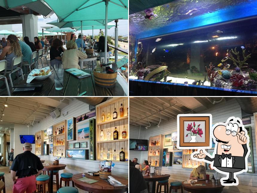 Salt Life Food Shack