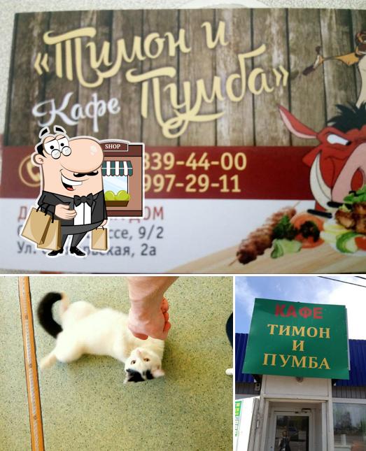 Тимон и Пумба