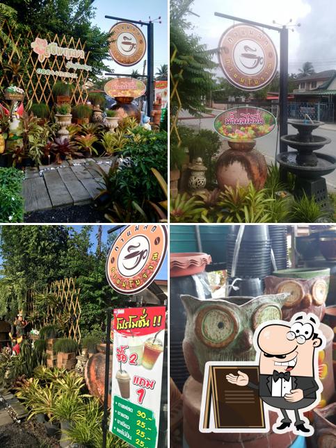 ร้านต้นไม้ศรีพฤกษา คลองแห