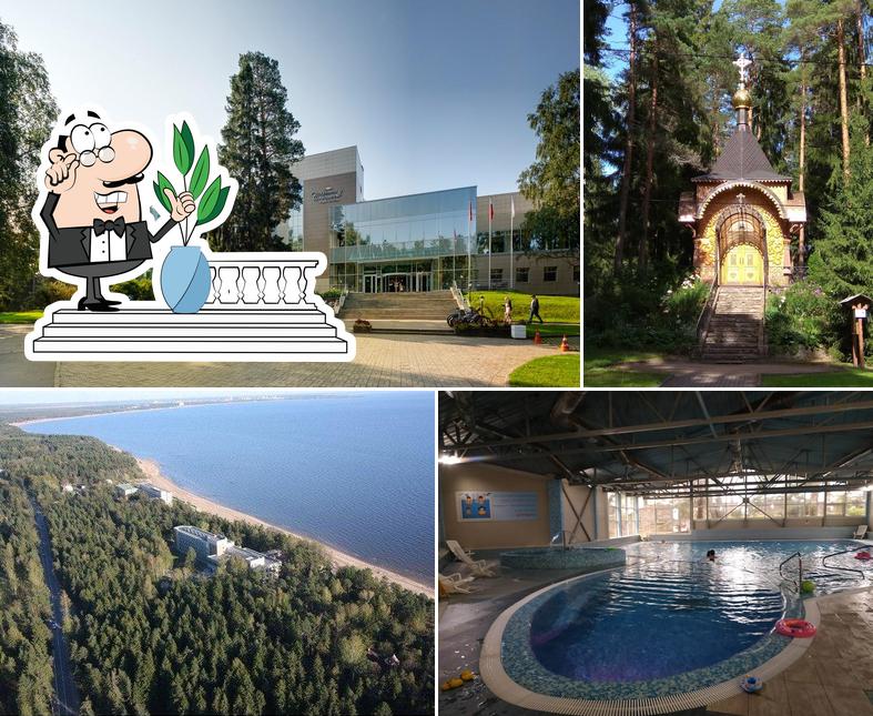 Репино Парк Отель