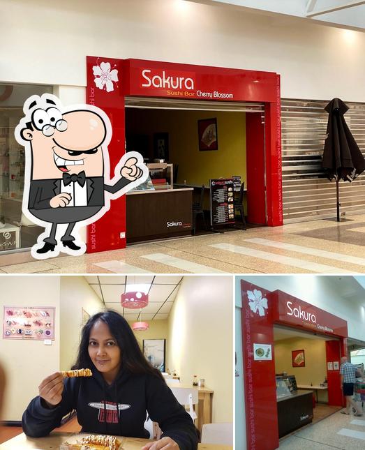 Sakura Sushi Bar