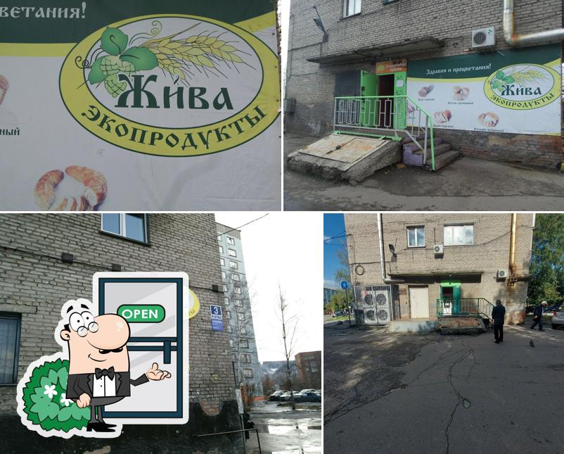 Жива