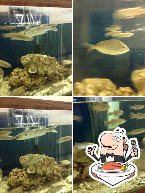 Gouaux Fish