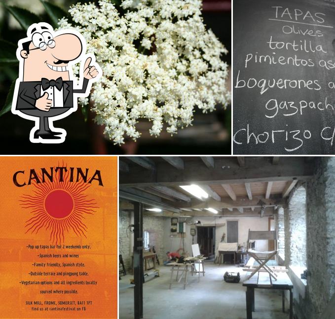 Cantina Festival