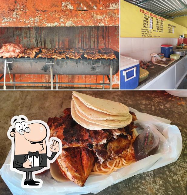 Pollo