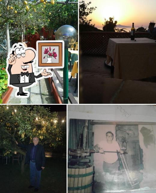 Trattoria La Savardina CAPRI Capri