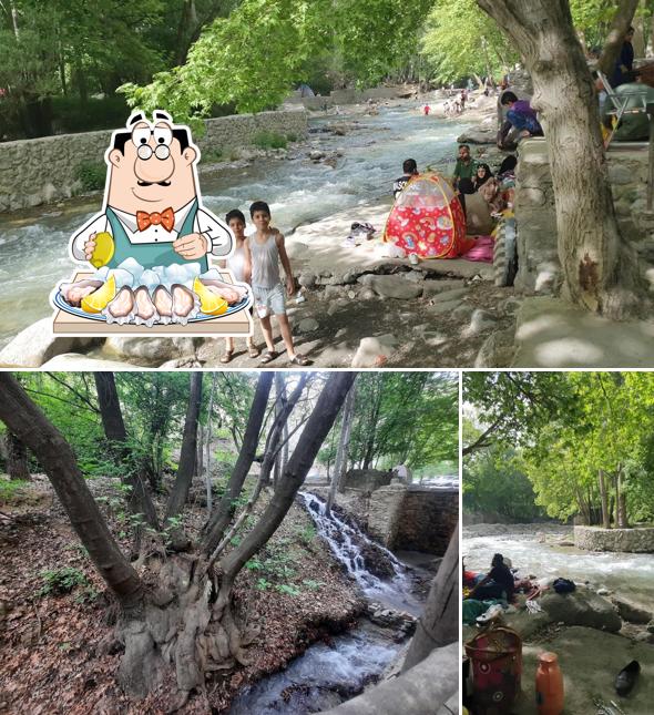 باغ خانوادگی سر چشمه