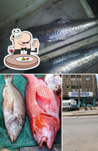 مركز خليج عدن للاسماك الطازجه