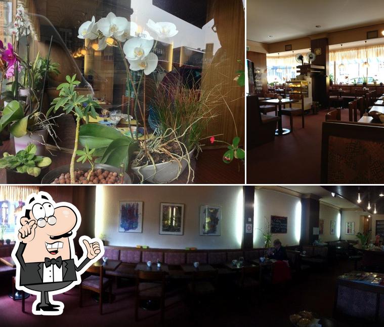 Cafe Xenia