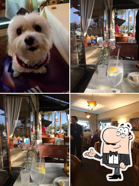 Maurizio's Trattoria Italiana