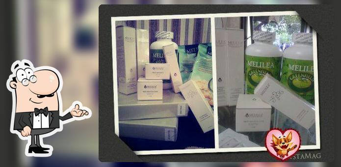 Jual MELILEA GRESIK