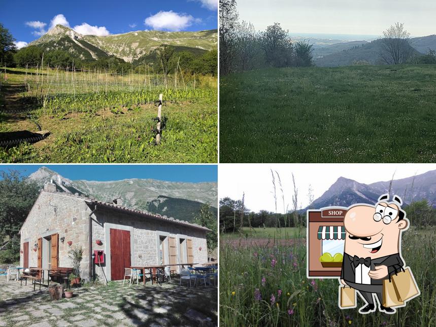 AgriMusicismo B&B&B