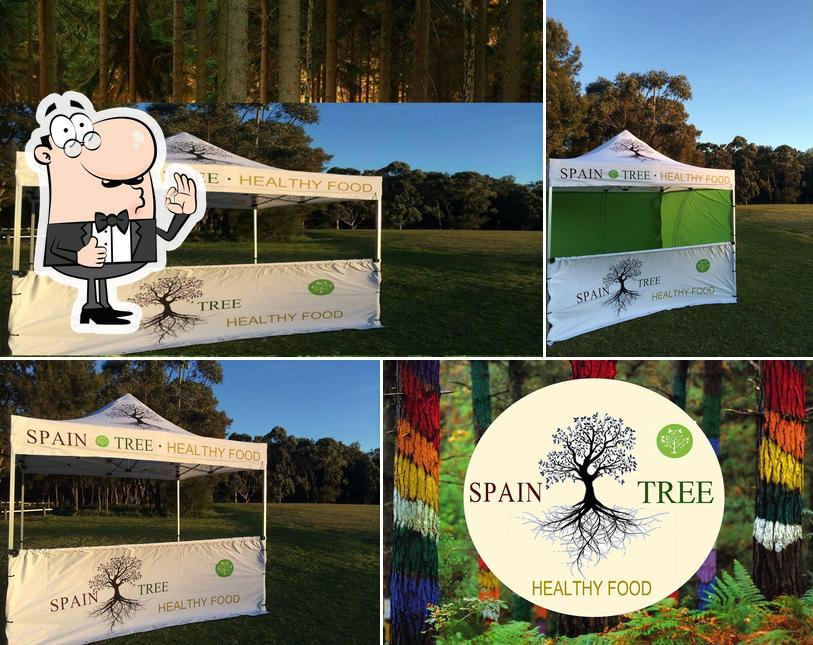 Spain Tree