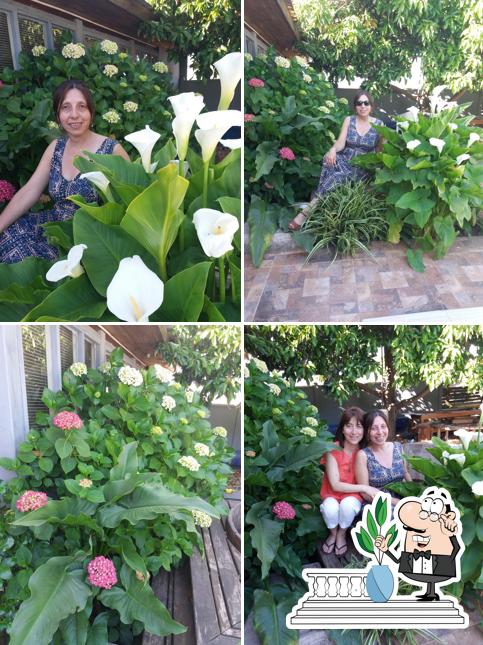 Proverbial y Jardin Los Cedros