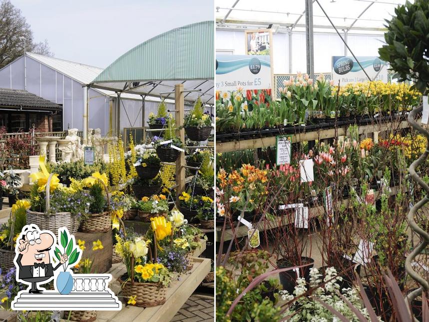 Golden Acres Garden Centre